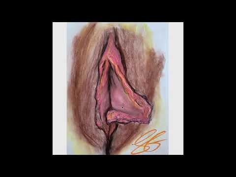 Video: Lopsided Vagina: 9 Forskjellige Labiaformer, Farger Og Størrelser