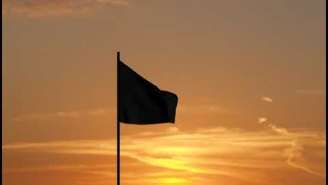 cloth simulation -  wind flag