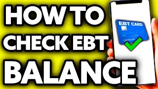 How To Check My EBT Card Balance Online (EASY!) screenshot 3