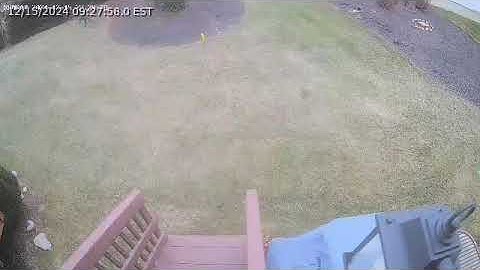 See How Camect Instantly Detects a Dog in Your Yard! 🐾