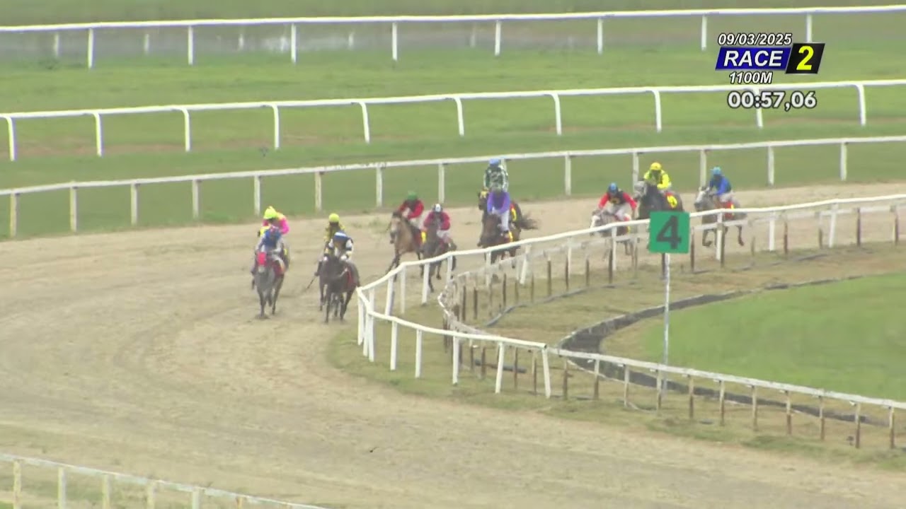 090325 Race 2 Novice 1000M