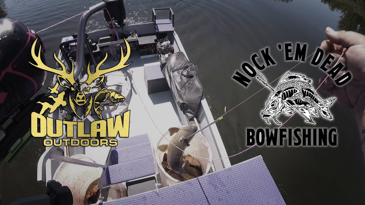 BOWFISHING 615 WITH NOCK EM DEAD YouTube