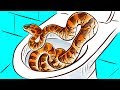 That's How a Snake Gets into Your Bathroom