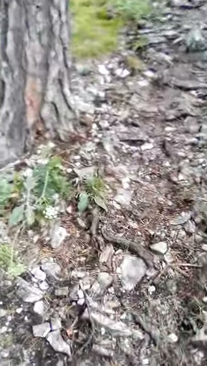 Мамбет - YouTube