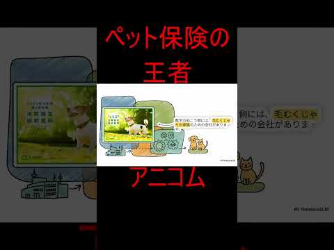 【王者】アニコム最新決算20251110#shorts