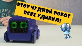 Восхищаемся Интерактивным Роботом Boxer 75100 B spinmaster