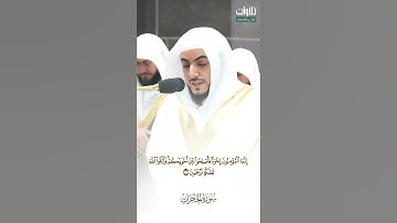 إِنَّمَا الْمُؤْمِنُونَ إِخْوَةٌ. تلاوة جميلة لفضيلة الشيخ الوليد الشمسان تلاوة من سورة الحجرات
