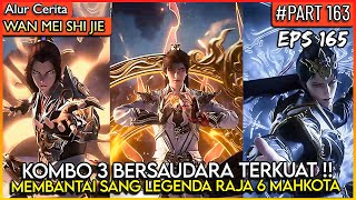 KOMBO 3 BERSAUDARA INI TERLALU OVERPOWER !! - Donghua PERFECT WORLD WANMEI SHIJIE #WMSJ PART 163