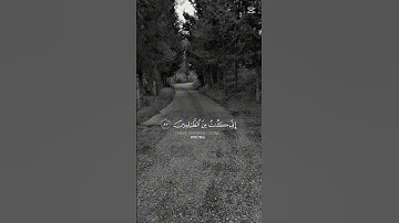 #يوم_الجمعة #القرآن_الكريم #تلاوة_خاشعة #اللهم_صل_وسلم_على_نبينا_محمد