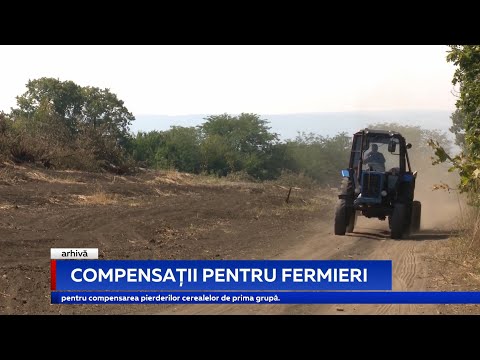 Video: Cine Este Eligibil Pentru Compensații La Grădiniță?