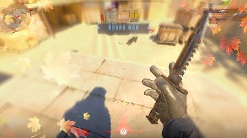 We fell in love in october (CS2 montage)