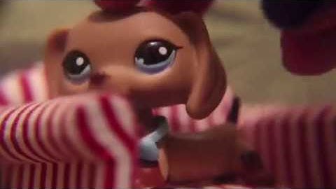 Littlest pet shop | day 2 | 2/24 | advent calendar | Christmas special