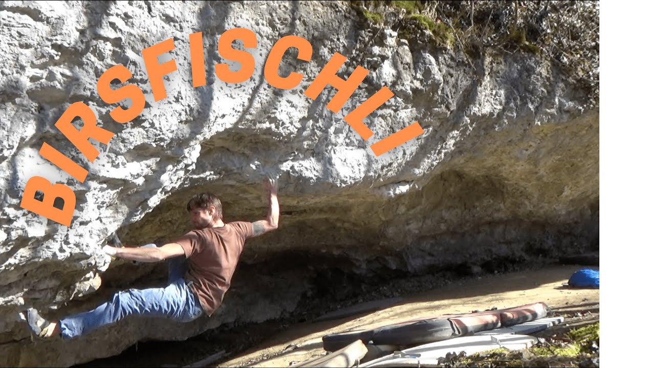 Birsfischli 7A/+ Basler Jura