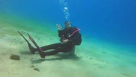Come and dive with me. I'm waiting for you!#underw...