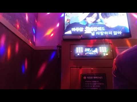 양다일 미안해