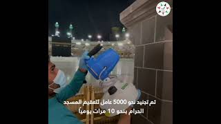 جهود سعودية موسعة لحماية الحجاج من «كوفيد_19» خلال المناسك