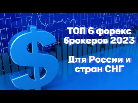 Топ 6 Форекс Брокеров 2023 Для России И Снг. Особенности Каждого