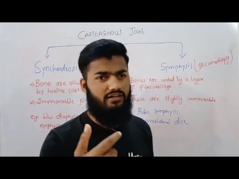 Videó: Mi a különbség a szimfízis és a synchondrosis ízületek között?