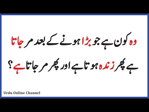 paheliyan-in-urdu-with-answer-|-riddles-in-hindi-|-funny-questions-|-general-knowledge-iq-test-urdu