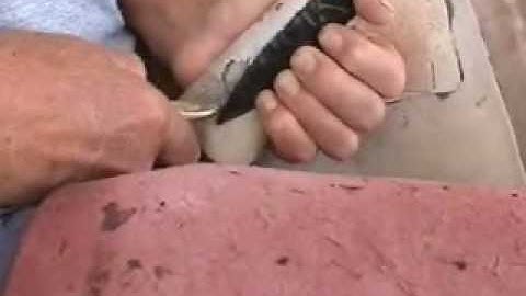 Humboldt Point Abo, Part 4