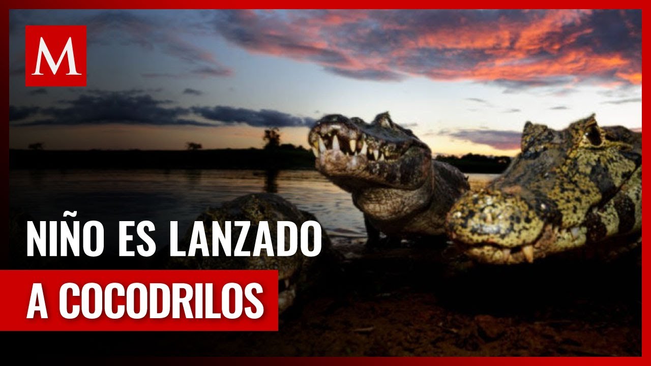 Padres enfrentan cargos por la muerte del niño en manos de cocodrilos ...