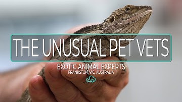 ezyVet Customer Story - The Unusual Pet Vet, Frankston, VIC, Australia