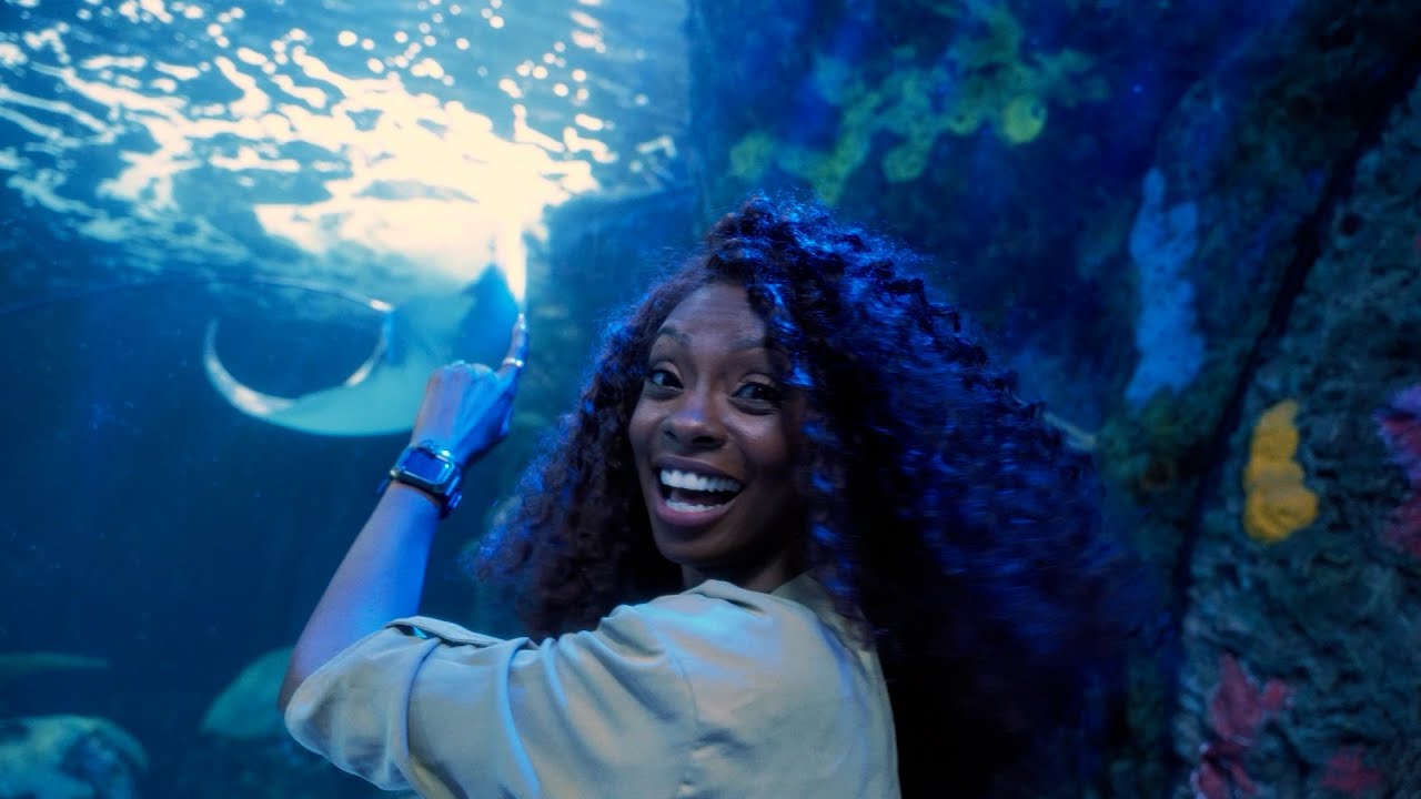 HAPPINESS is... the Virginia Aquarium!