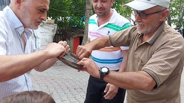 Şerit testere katlama 2022