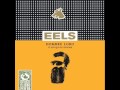 Eels - Beginner's Luck