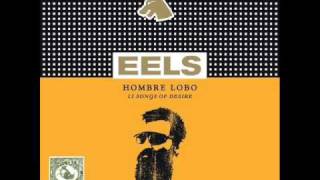 Eels - Beginner's Luck chords