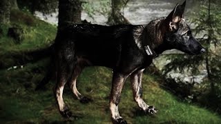 Exclusive Interview - Tony Clark - The Urban Handler