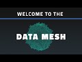 Is Data Mesh the Future?