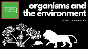 IGCSE Biology 19 - Organisms and the Environment | CakeWalk Cambridge