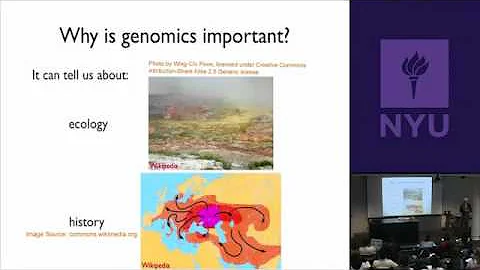 Natural Science II: Genomes and Diversity - Introduction and Overview