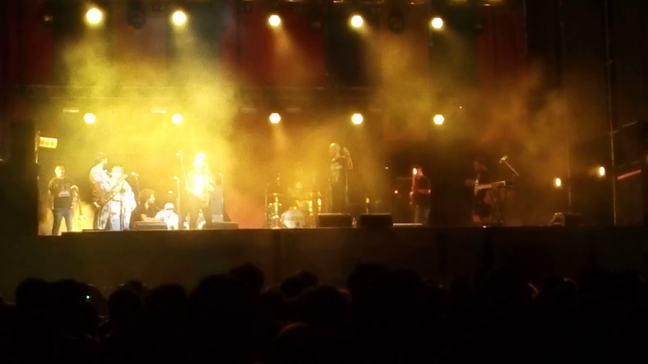 La Brígida Orquesta-  Souvenirs Al Descuido (En Vivo Womad Chile)
