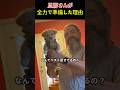 旦那さんが 全力で準備した理由