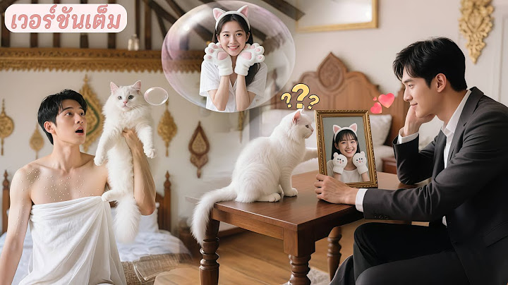 สาวต้องคำสาปกลายเป็นแมวหลังคืนเดียว! ไม่คาดว่าบอสจะช่วยไว้แล้วพากลับไปเลี้ยงดู จนกลายเป็นรัก!