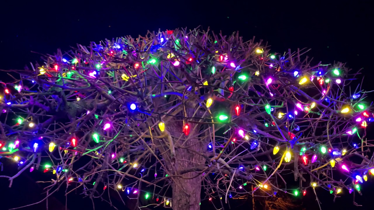 christmas lights 2021 done by frank Mclean