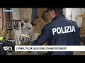 Catania, scoperte stalle abusive: salvati cavalli e un pony