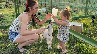 OTTER TORE THE MISTRESS'S HANDS / Baby feeds kid / Visiting Sirin