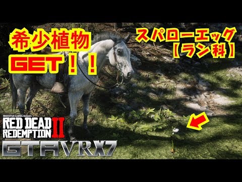 【RDR2】 part17 希少植物 スパローエッグ (ラン科) 【レッド・デッド・リデンプション2】