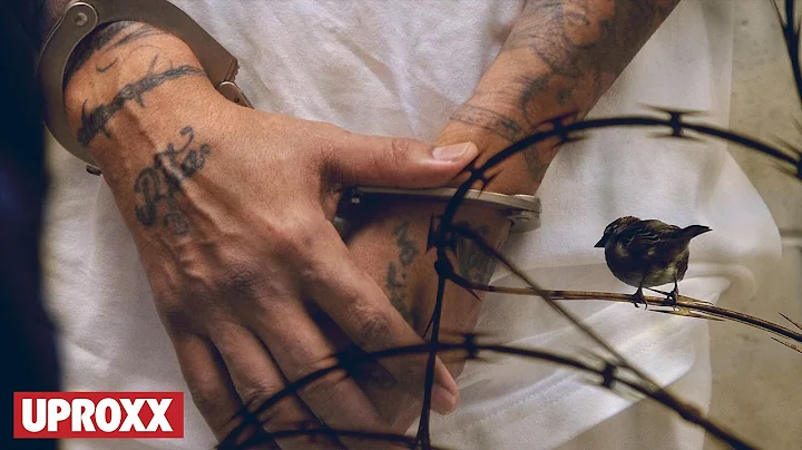 Ex-convicts Rebuild Communities  | UPROXX Reports ...