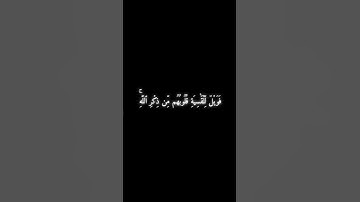 سورة الزمر الآية 22 - مشاري راشد العفاسي .
