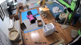 Camera Comparison: Yi 1080p vs Wyze V3 by Caroline Crevier-Chabot 409 views 1 year ago 3 minutes, 45 seconds