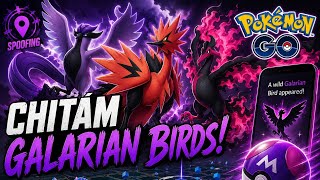Lov Galarian Birds (cloudy)
