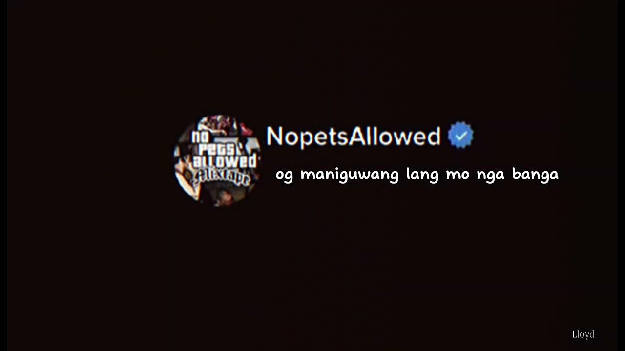 nopetsallowed trip trip lang