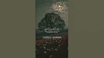لْهُدَىٰ مِنَ ٱللَّهِ وَحْدَهُ | سورة القصص ٥٦ Surah Al-Qasas 28:56 #learnquran 🌿