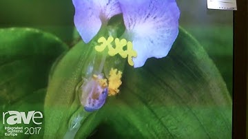 ISE 2017: SnoWhite Talks About Ambient Light Rejection Screen