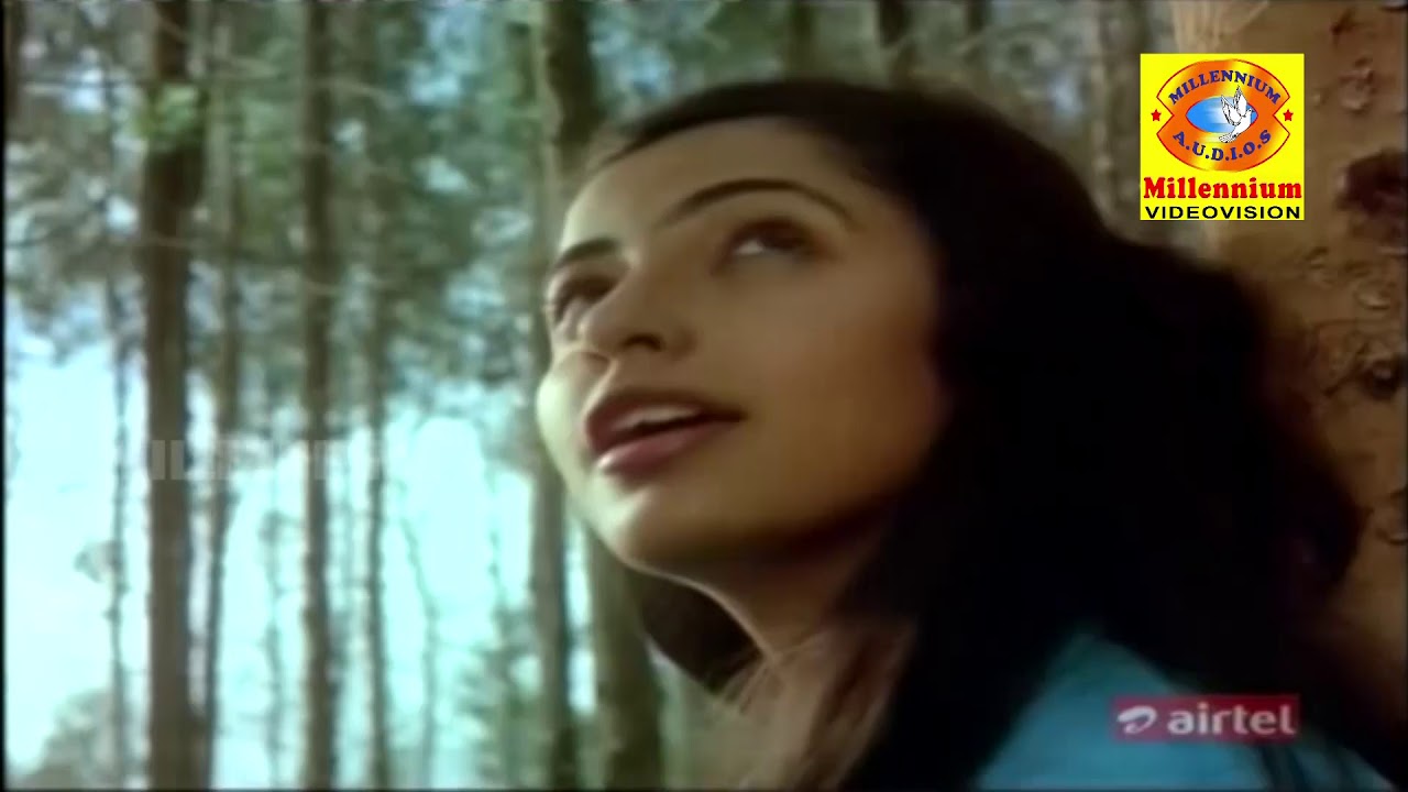 Nettiyil Poovulla  Malayalam Movie Songs  KS Chithra  Mammootty  Suhasini  MG Soman  Lizy 