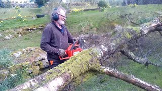 Husqvarna120 Mk11sneds rotton top birch Pollen count was very high during processing of spriggy bits